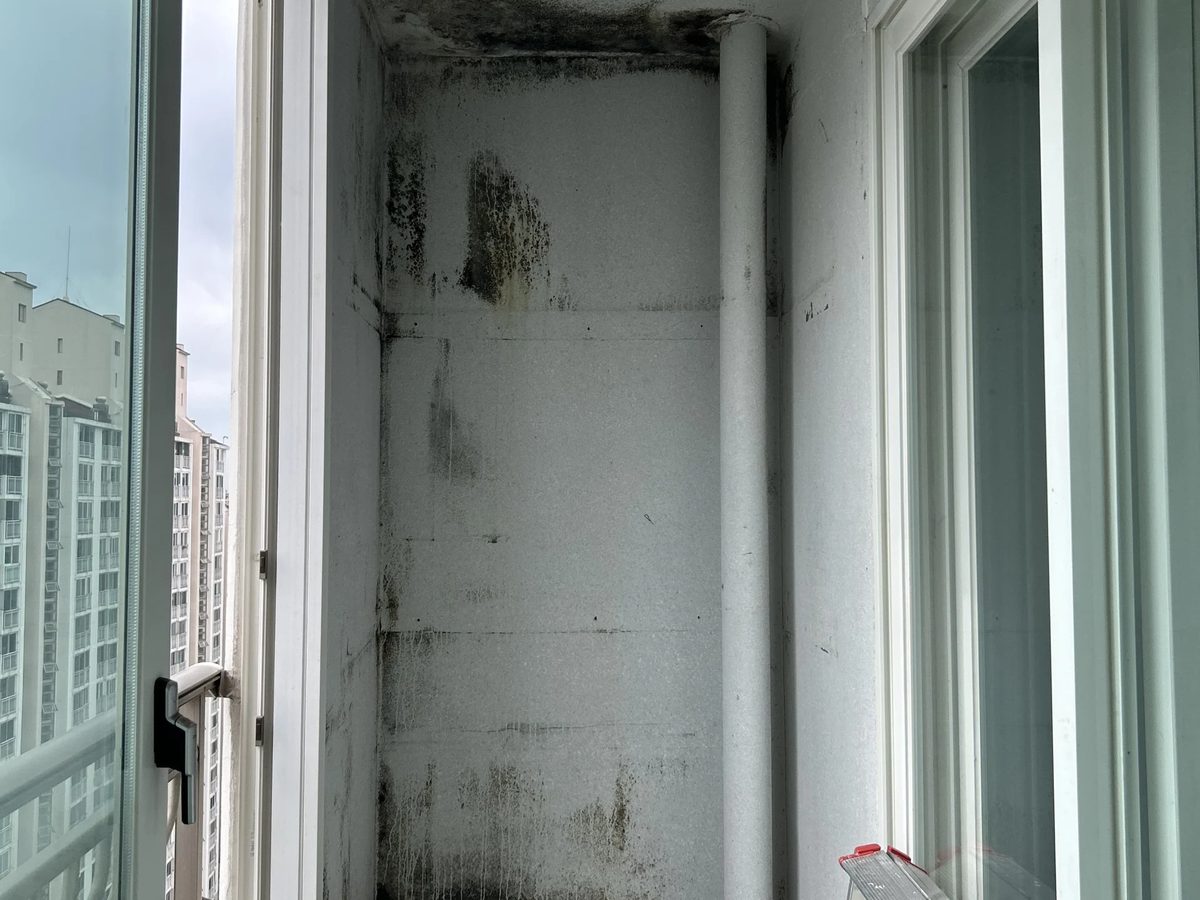 은평 빌라 다용도실 천장에 검은 곰팡이가 덮인 시공 전 모습